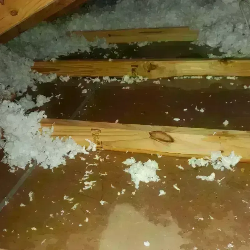 Attic Water Damage in Woodlyn, PA